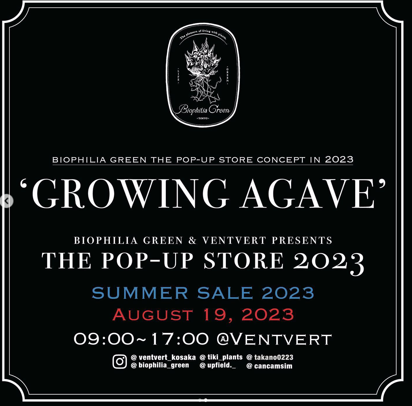 Biophilia green THE POP-UP STORE CONCEPT in 2023 'GROWING AGAVE