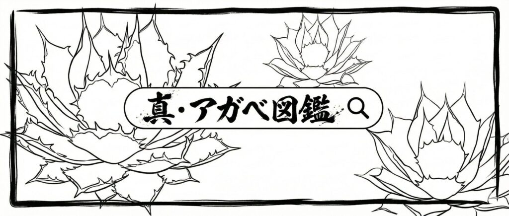 2025年最新版】ただただアガベ/塊根に合わせたい陶器鉢 まとめ※個人